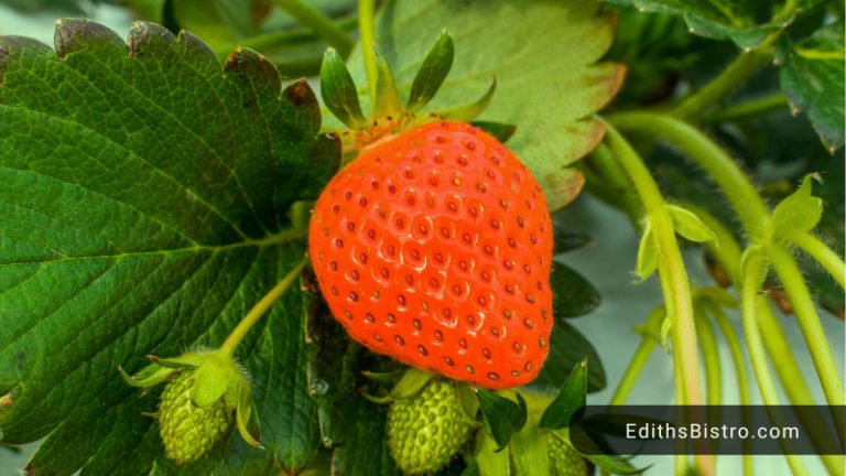 can-you-eat-strawberry-leaves-unlocking-the-truth